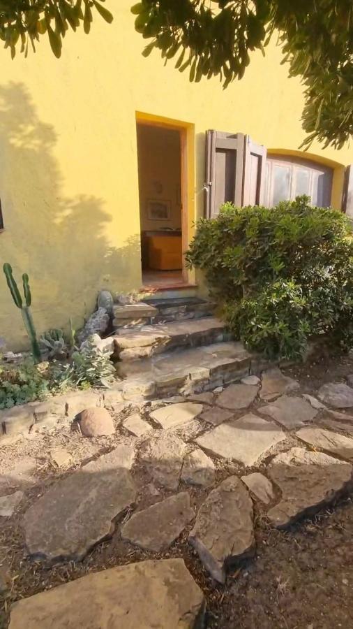 La Baia Apartments Sa Rocca Tunda 외부 사진